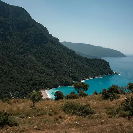 Olive Garden Kabak 2* Faralya
