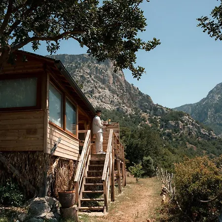 Parc de vacanță Olive Garden Kabak