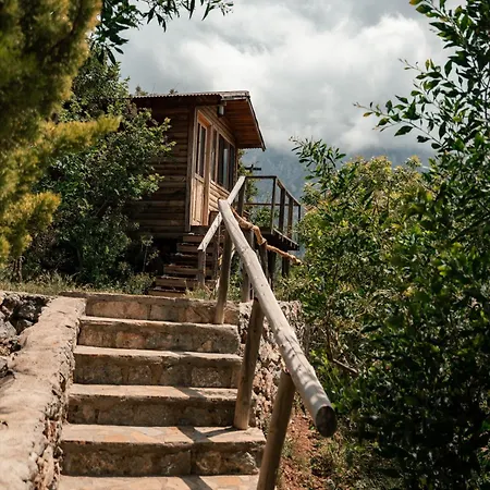 Semesterpark Olive Garden Kabak Faralya