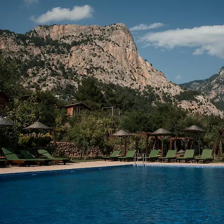 Olive Garden Kabak