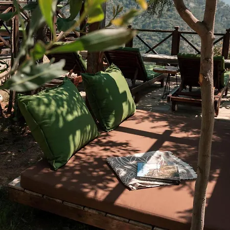Olive Garden Kabak Holiday park