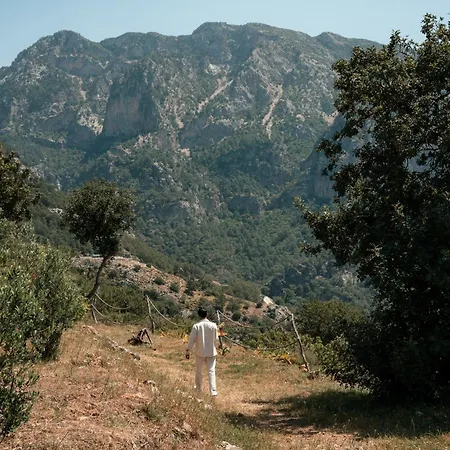 Olive Garden Kabak Feriepark