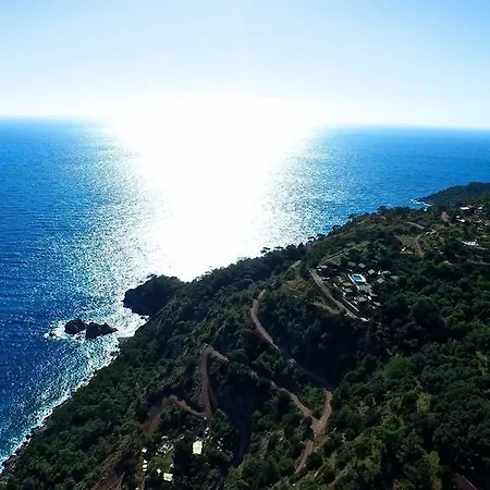 Olive Garden Kabak Faralya