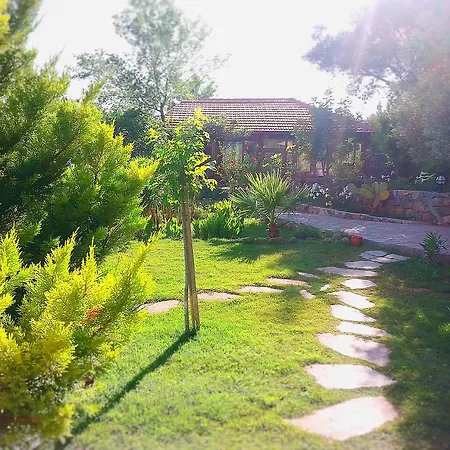 Holiday park Olive Garden Kabak 2*