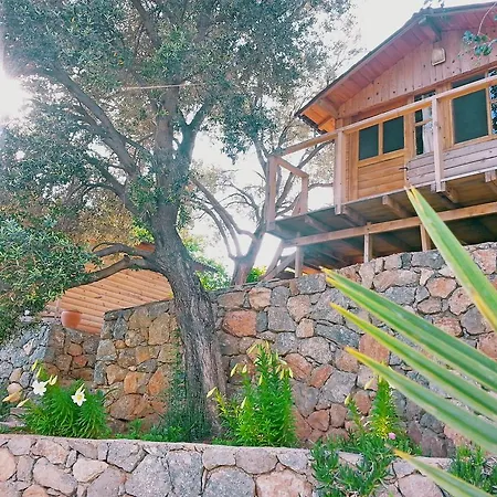 Holiday park Olive Garden Kabak Faralya