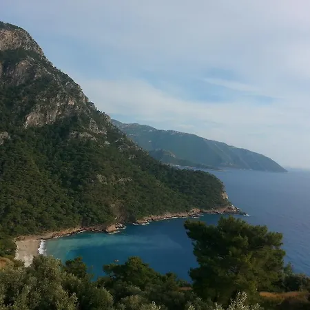 Olive Garden Kabak Faralya