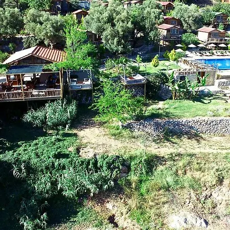 Holiday park Olive Garden Kabak 2*