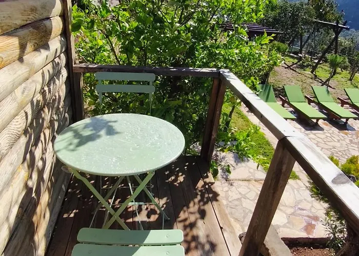 Olive Garden Kabak Faralya