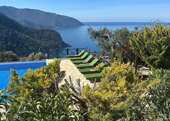 Olive Garden Kabak 2* Faralya