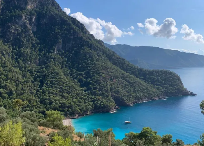 Parque de vacaciones Olive Garden Kabak