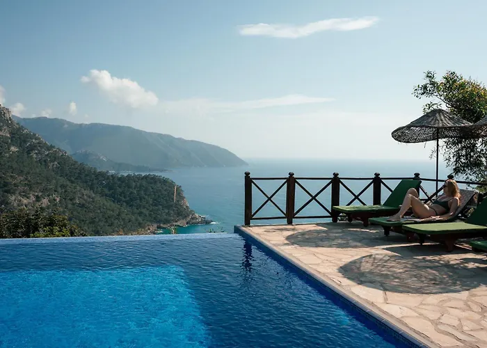 Olive Garden Kabak 2*