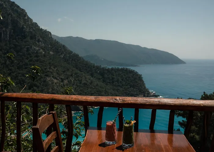 Olive Garden Kabak 2*