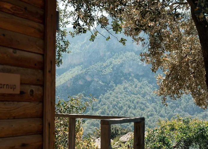 Olive Garden Kabak 2* Faralya